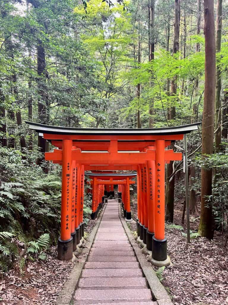 ULTIMATE 10 Day Japan Travel Itinerary 22 A stone path lined with vibrant red torii gates winds through a lush, green forest—a serene, iconic scene often featured in a 10 day Japan travel itinerary.