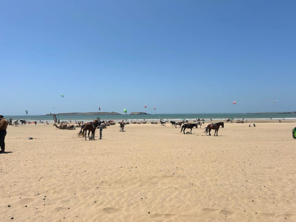 10 BEST Riads in Essaouira 52 Horses on sandy beach, kites flying.