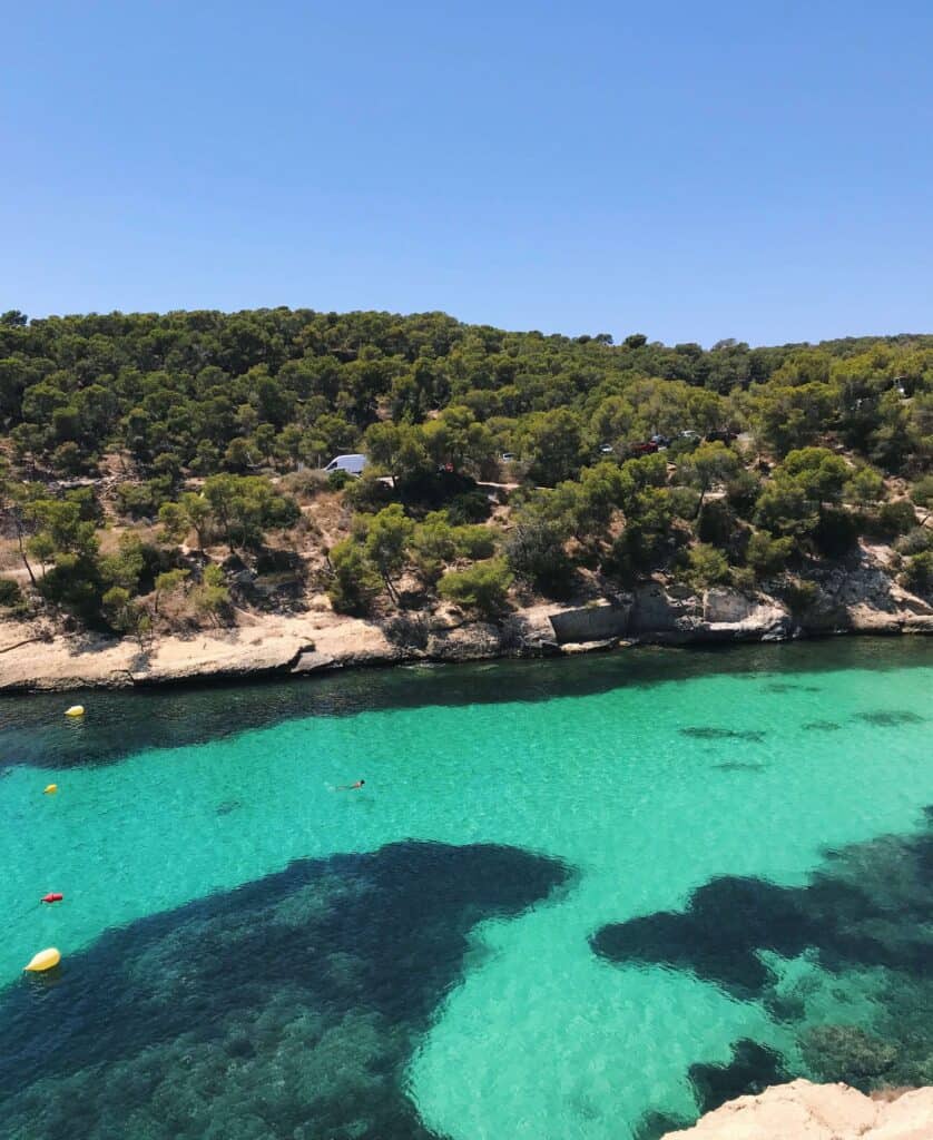 Turquoise water and lush greenery