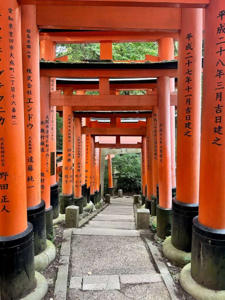 ULTIMATE 10 Day Japan Travel Itinerary 21 A highlight for any 10 day Japan travel itinerary, vibrant red torii gates with Japanese inscriptions line a stone path, forming a tunnel-like effect in a lush, green outdoor setting.