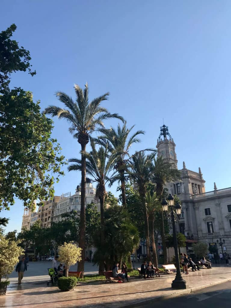Palm trees in sunny plaza setting.