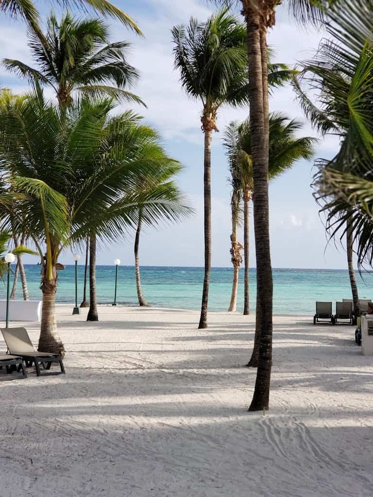Relaxing tropical beach in Cancún with palm trees and sun loungers on the sandy shore.