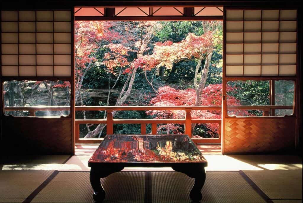 8 UNIQUE Miyajima Ryokans, Hiroshima 10 Traditional room with vibrant autumn view.