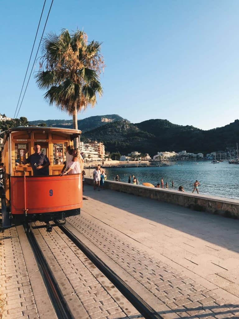Mallorca Travel Itinerary in 4 Days 19 Tram near waterfront with palm tree.