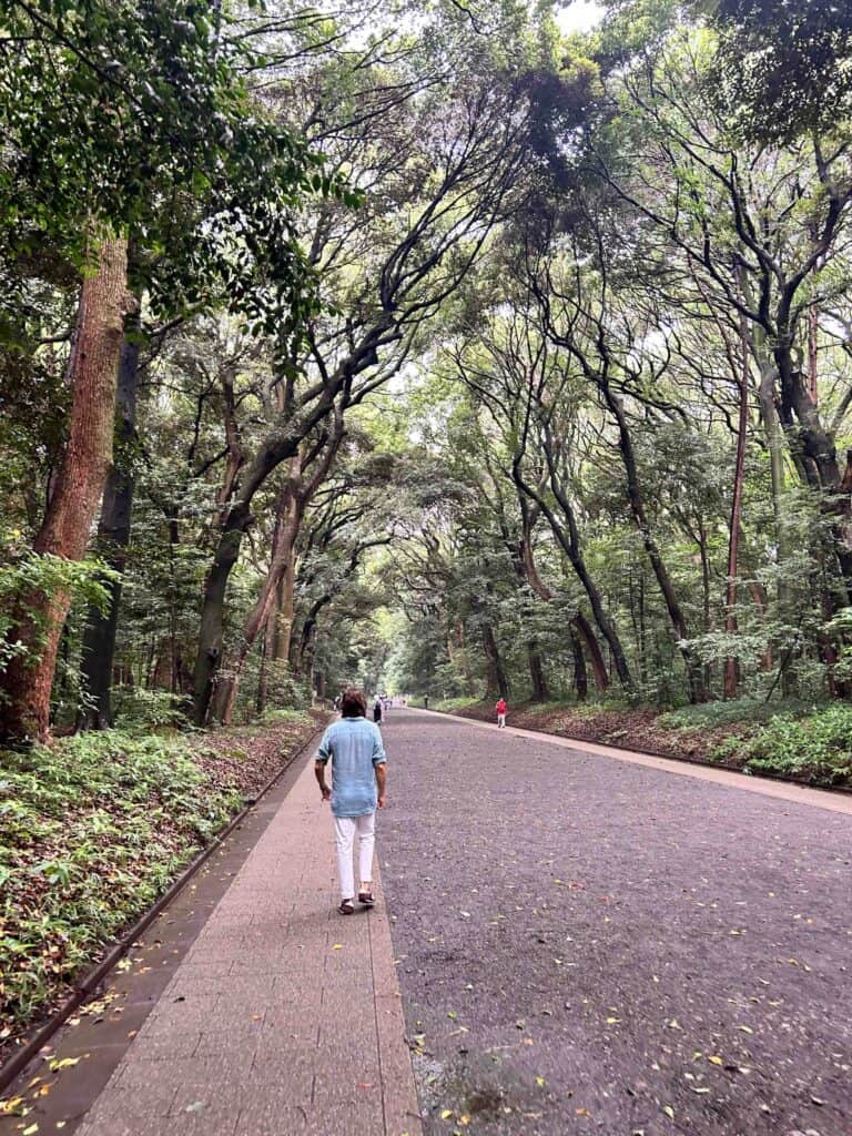 ULTIMATE 10 Day Japan Travel Itinerary 4 A person walks down a wide, tree-lined pathway in a lush, green forest—a scene that could easily be part of a 10 day Japan travel itinerary. The tall trees form a canopy overhead, with a few other people visible further down the path.