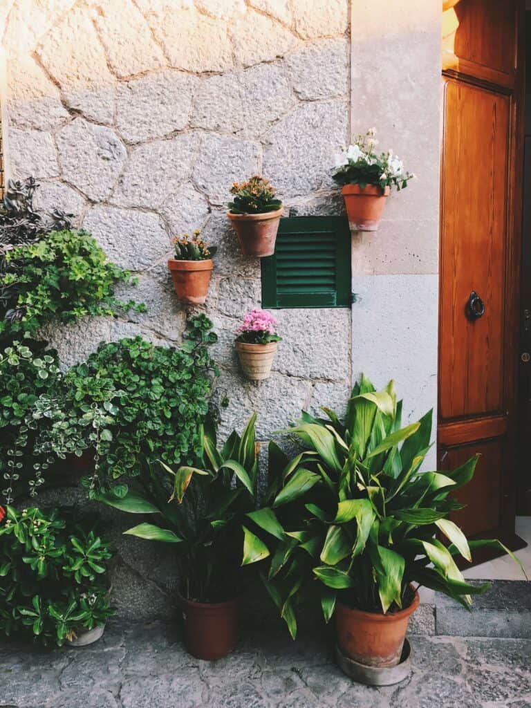 Mallorca Travel Itinerary in 4 Days 20 Decorative plants on a stone wall.