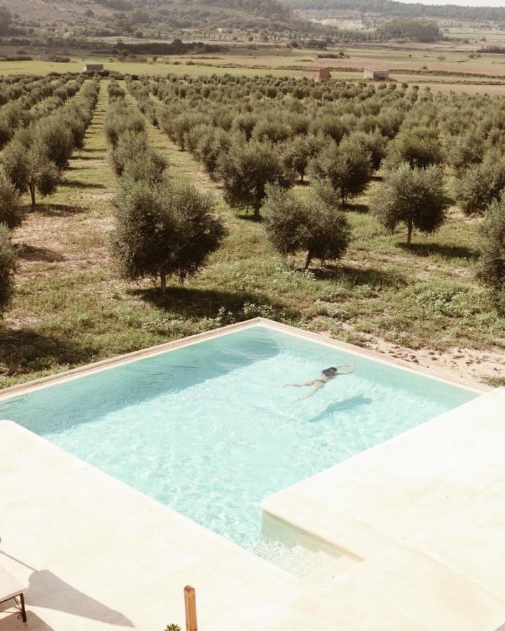 Unique Agroturismos in Mallorca 26 A person swims alone in a rectangular outdoor pool at one of the agroturismos in Mallorca, overlooking a scenic landscape of neatly planted trees in rows stretching across open fields under a hazy sky.