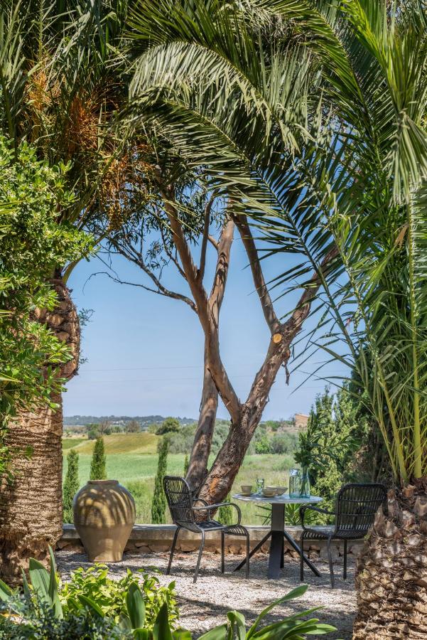 Unique Agroturismos in Mallorca 12 A cozy outdoor seating area with a black table and four chairs is surrounded by palm trees and lush greenery, offering the perfect spot to enjoy the scenic views found at agroturismos in Mallorca.