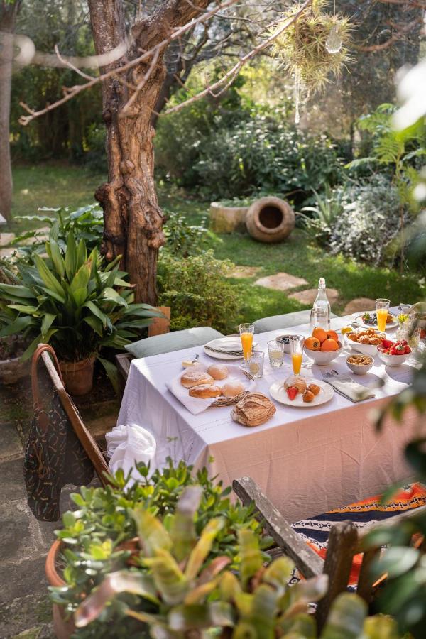 Unique Agroturismos in Mallorca 16 A sunlit outdoor table set for breakfast with plates of pastries, fruit, and glasses of orange juice, surrounded by lush green plants and trees in a garden—perfect for experiencing agroturismos in Mallorca.
