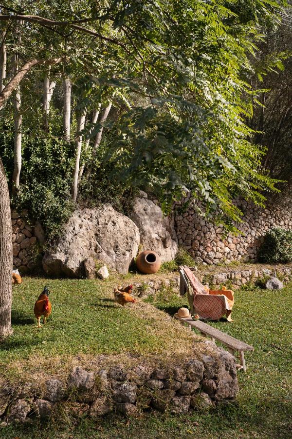 Unique Agroturismos in Mallorca 15 A sunlit garden with several chickens walking on the grass; a large clay pot lays on its side, and a wooden bench sits nearby. Trees and stone walls surround the peaceful, green space, evoking the charm of agroturismos in Mallorca.