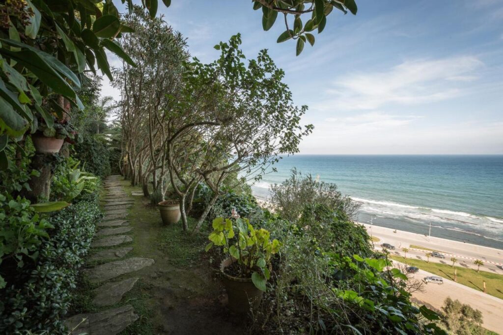 9 UNIQUE Riads in Tangier 26 A stone pathway lined with potted plants and trees, reminiscent of riads in Tangier, overlooks a sandy beach and the ocean, with waves rolling in under a partly cloudy sky.