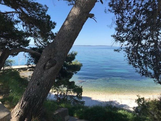 Where to Stay in Split: Hotel & Areas Guide 44 A clear, calm sea viewed through pine trees on a sunny day, with a narrow sandy beach and a stone platform along the shoreline—perfect scenery for those considering where to stay in Split. The sky is bright blue with no visible clouds.