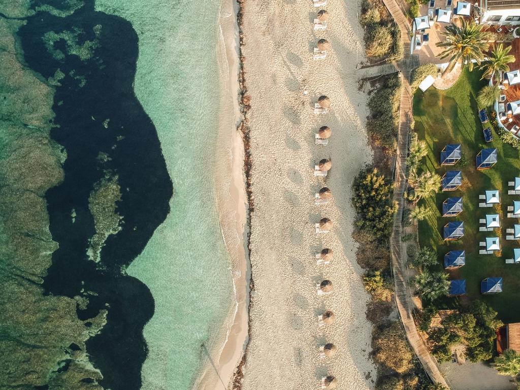 Aerial view of a sandy beach with rows of umbrellas, clear turquoise water on the left, and a resort area with green grass and blue lounge chairs on the right—perfect for guests at boutique hotels in Formentera.