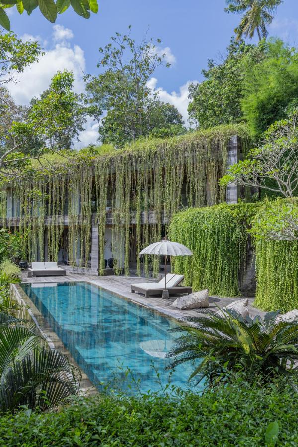 A modern villa, one of the best family villas in Bali, features cascading green vines on its walls, a rectangular swimming pool, lounge chairs, and an umbrella amid lush tropical plants beneath a clear blue sky.