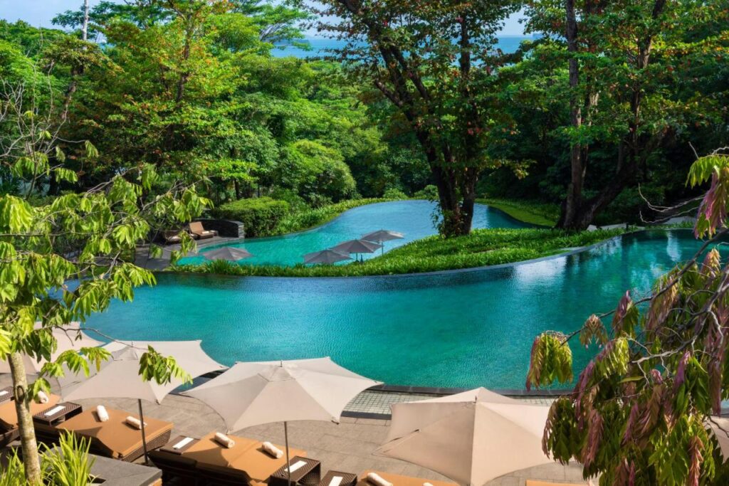 13 Most Unique Hotels in Singapore for an Incredible Holiday 54 Infinity pool surrounded by lush greenery, sun loungers with white umbrellas in the foreground, and large trees providing shade—experience this tropical oasis at one of the unique hotels in Singapore.
