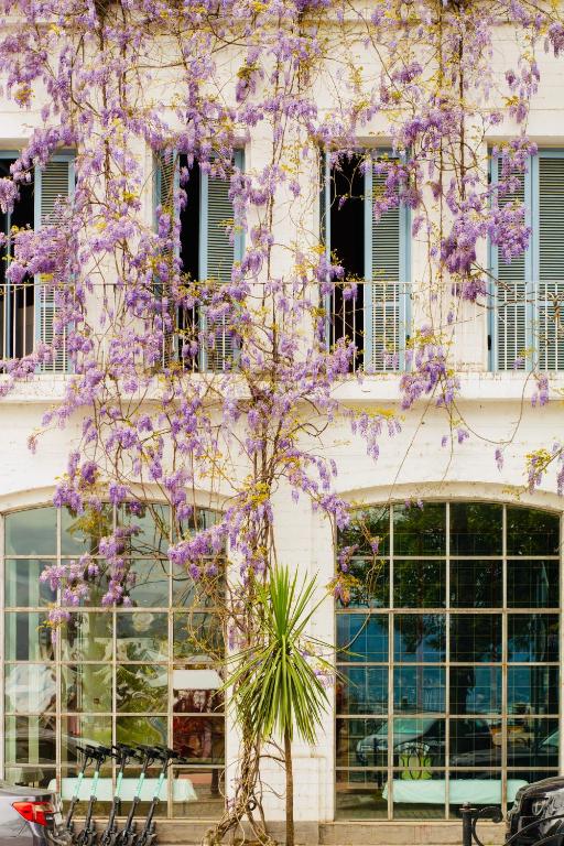11 Unique Hotels in Georgia You Can't Miss! 38 A white building facade with large windows and balconies is covered in climbing purple wisteria flowers. A tall, spiky green plant stands in frontāone of the unique hotels in Georgia, blending charm with natural beauty.