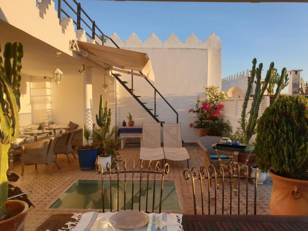 9 UNIQUE Riads in Tangier 35 Sunny rooftop terrace reminiscent of riads in Tangier, featuring patterned tiles, potted plants, cacti, and flowering bushes. Enjoy outdoor dining and lounge areas, a glass floor section, and a staircase leading to an upper level by a white wall.