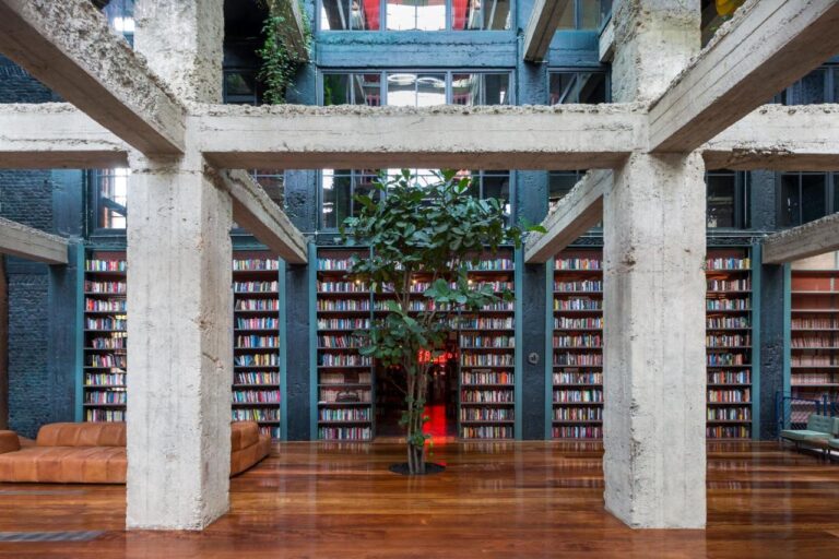 A modern library with tall concrete beams, polished wooden floors, a large potted tree in the center, and brown leather sofas. Natural light streams in from above—an ambiance often found in unique hotels in Georgia.