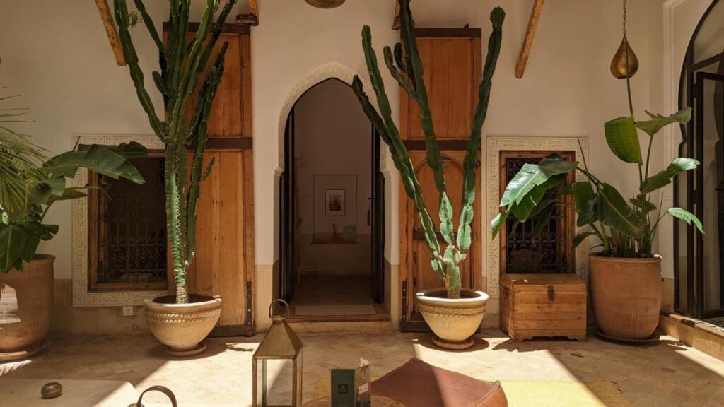 12 Charming Budget Riads in Marrakech 45 Sunlit courtyard in budget riads in Marrakech with large potted cacti, leafy plants, wooden doors, arched doorway, decorative lanterns, and tiled floor. Warm, earthy tones create a cozy, inviting atmosphere.