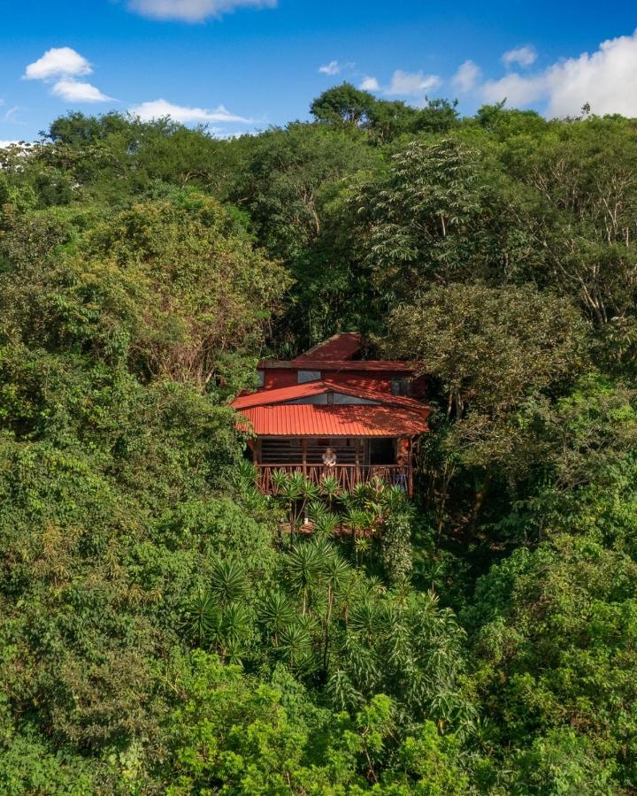 Unique Hotels in Costa Rica: Top Stays 20 A house with a red roof is nestled among dense, green tropical trees and vegetation, partially hidden by the surrounding forest under a blue sky—a scene reminiscent of unique hotels in Costa Rica.