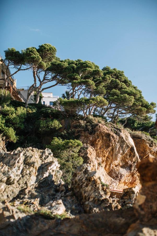 Rocky cliffs with lush green trees and shrubs growing on top, set against a clear blue sky. Some boutique hotels in Costa Brava are partially visible behind the trees on the left side of the image.