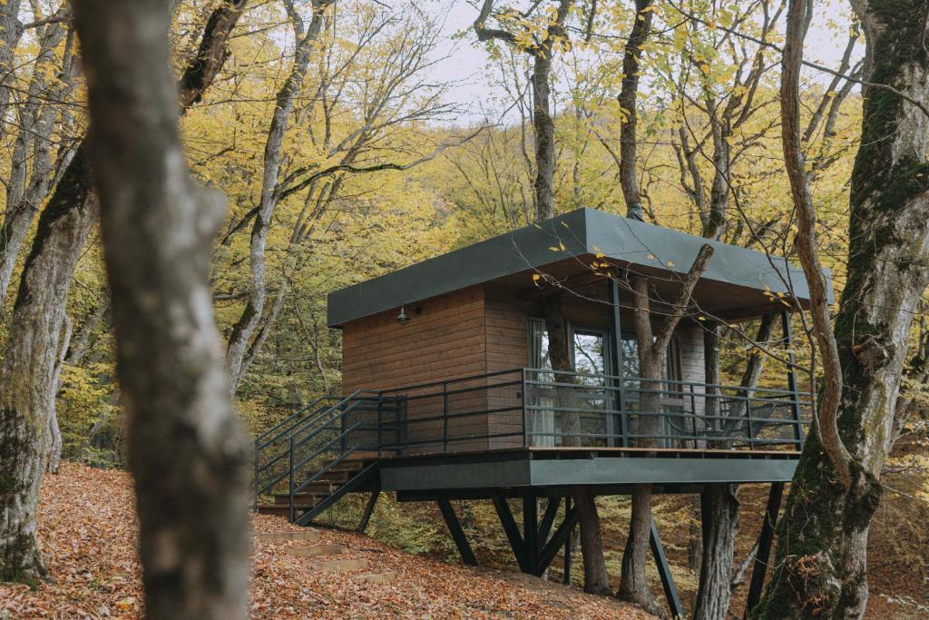 11 Unique Hotels in Georgia You Can't Miss! 32 A modern wooden treehouse with large windows and a metal railing stands elevated among tall trees with autumn leaves scattered on the ground, offering a serene escape among unique hotels in Georgia.