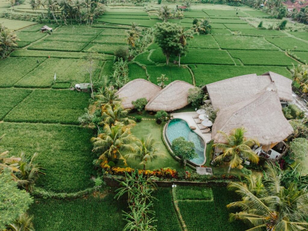 Aerial view of one of the best family villas in Bali, featuring thatched roofs and a pool, surrounded by lush tropical plants and vibrant green rice fields in a serene rural landscape.