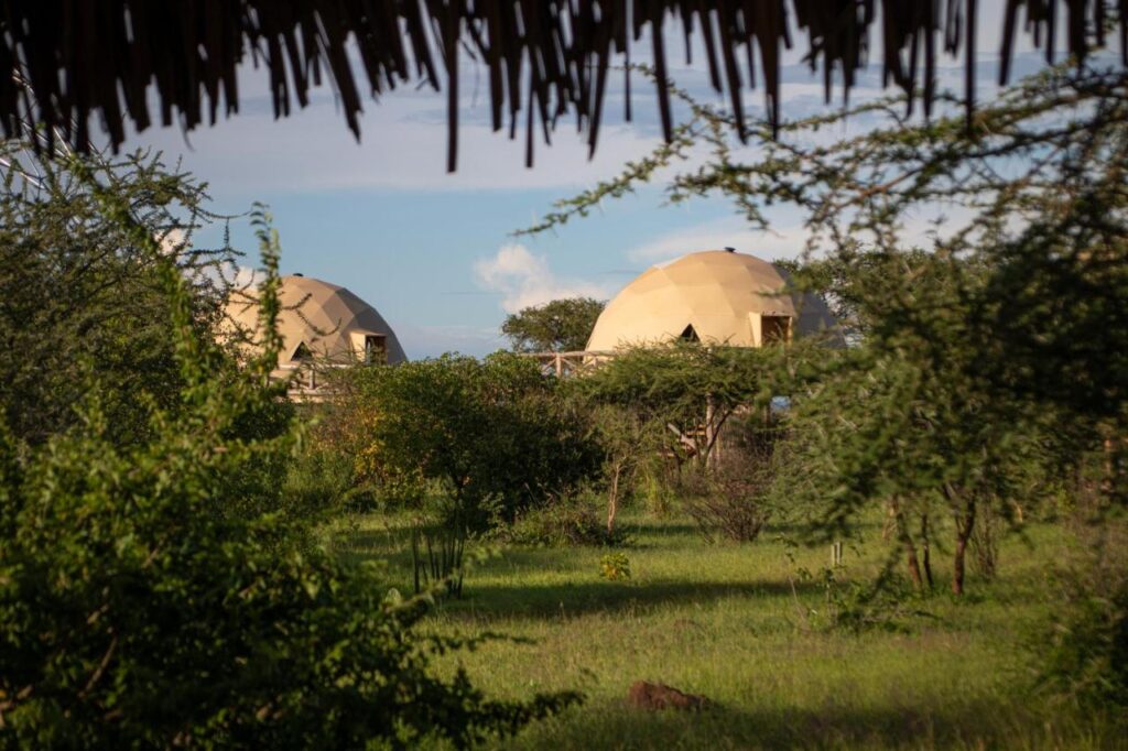Glamping in the Serengeti: Unique Safari Lodges in Tanzania 4 Two dome-shaped beige tents are partially visible among lush green trees and bushes, offering a secluded glamping in the Serengeti experience. A thatched roof edge frames the scene, beneath a mostly clear sky with a few scattered clouds.