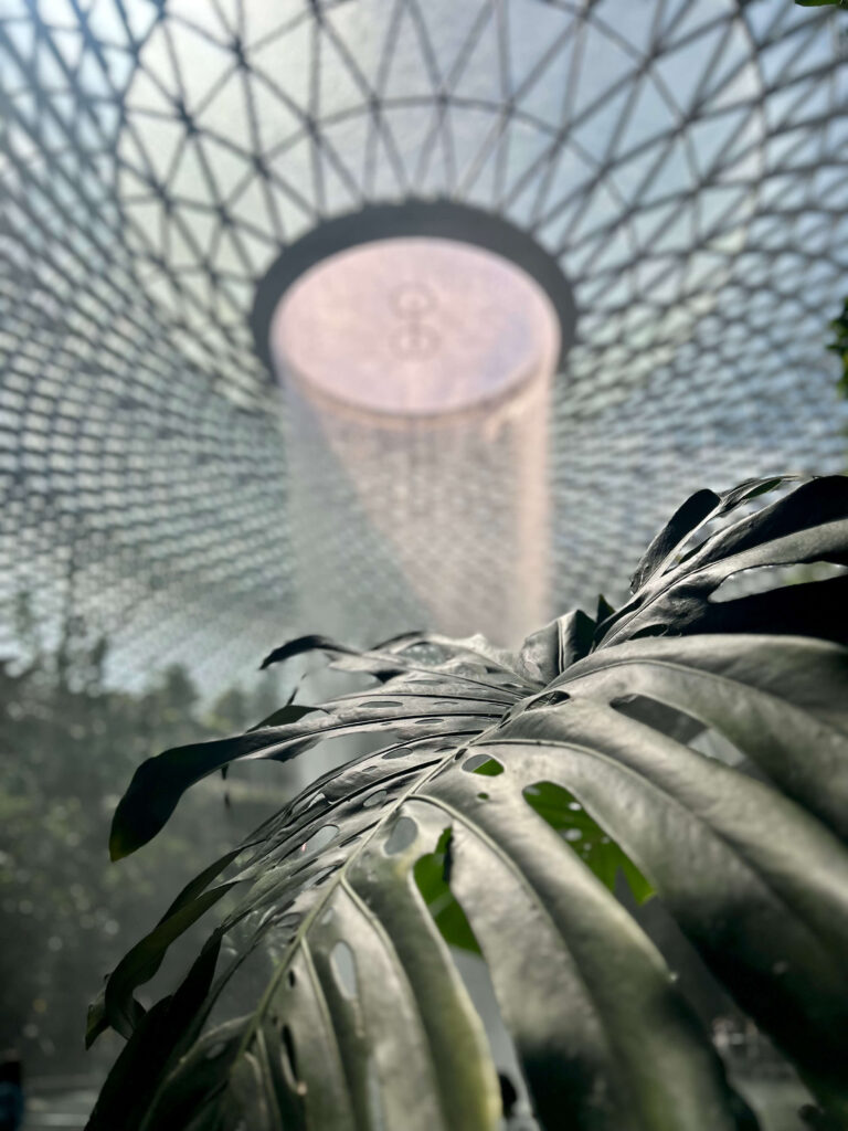 13 Most Unique Hotels in Singapore for an Incredible Holiday 3 A large green leaf in the foreground with a misty indoor waterfall and a geometric glass dome ceiling in the background, letting in natural light—a scene often found near unique hotels in Singapore.
