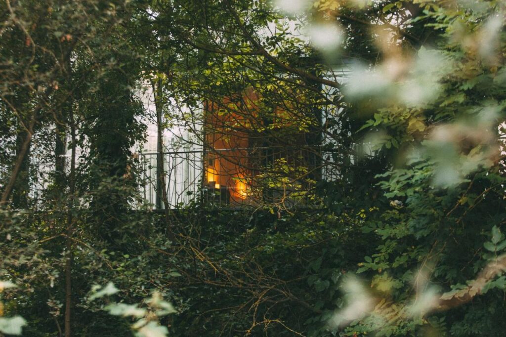 4 Best Hotels in Ribera del Duero, Spain 13 A balcony with warm lights is partially hidden behind dense green trees and foliage, creating a cozy and secluded atmosphere—perfect inspiration for those planning weekend trips from Madrid.