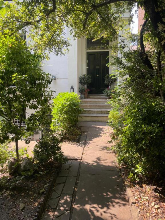 15 Best Boutique Hotels in London, UK 10 A shaded garden walkway leads to the steps of a white building with a dark front door—reminiscent of the entrances found at some of the best boutique hotels London offers—surrounded by lush green plants and trees as sunlight filters through the leaves.