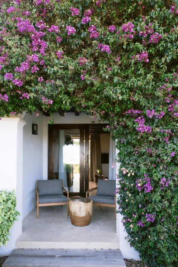 10 AUTHENTIC Finca Hotels in Ibiza 28 A cozy porch with two gray chairs and a wooden table is framed by lush green vines and blooming purple flowers, evoking the inviting charm of finca hotels in Ibiza as it leads to a glass door entrance of a house.