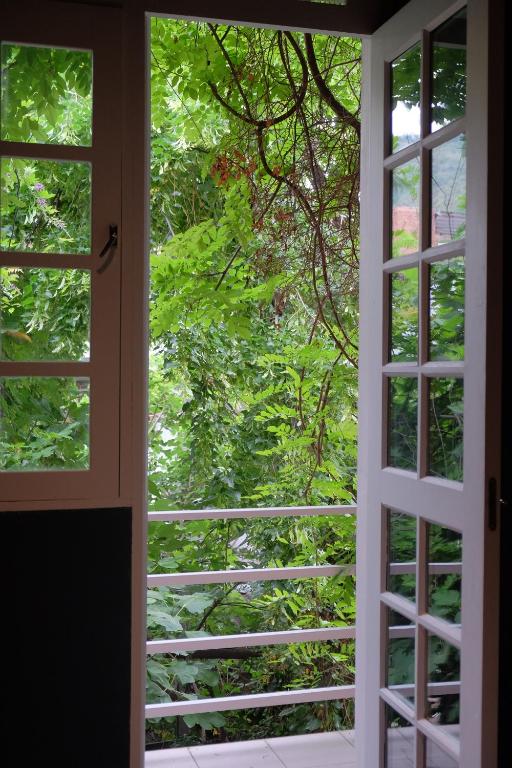 11 Unique Hotels in Georgia You Can't Miss! 13 An open glass door leads to a small balcony with white railings, overlooking lush green foliage and climbing plantsāan inviting scene often found in unique hotels in Georgia.