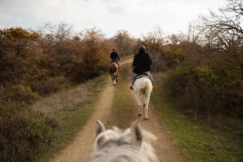 11 Unique Hotels in Georgia You Can't Miss! 30 Two people riding horses along a dirt path surrounded by autumn trees, viewed from behind another horseback riderāa calm and natural scene often enjoyed near unique hotels in Georgia on a cloudy day.
