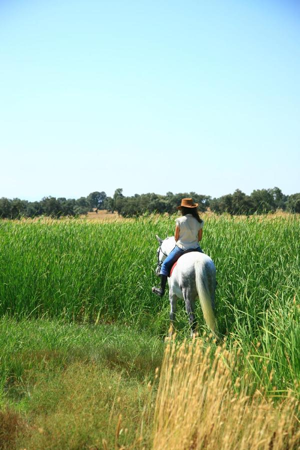 25 Weekend Trips from Madrid Max. 2h Away 7 A person wearing a hat rides a white horse through tall green grass in a sunny, open field with trees in the distance—a perfect scene for relaxing weekend trips from Madrid.
