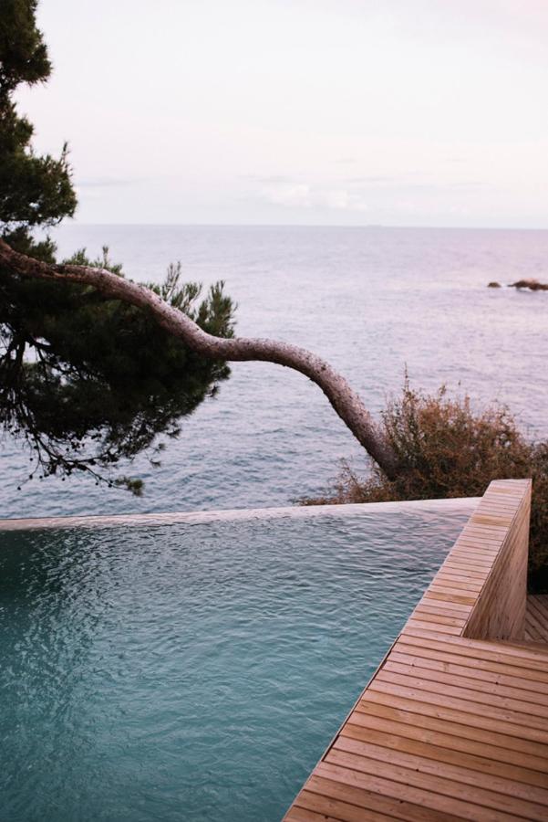 A serene infinity pool with wooden decking overlooks a calm sea at one of the boutique hotels in Costa Brava. A large, leaning tree branch extends over the pool, and the sky is pale and peaceful in the background.