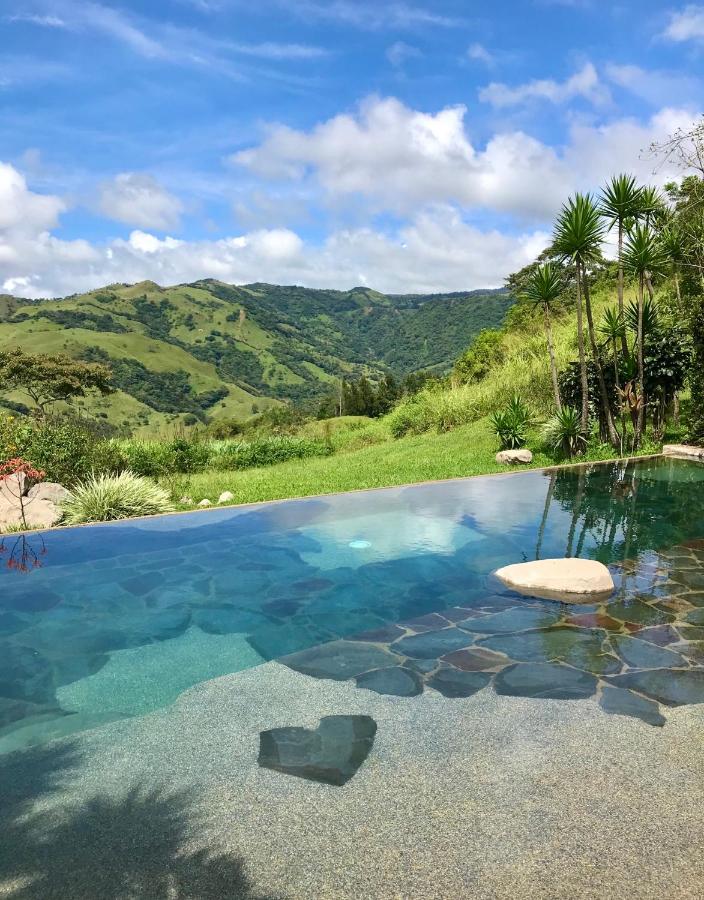 Unique Hotels in Costa Rica: Top Stays 18 A clear infinity pool with stone steps at one of the unique hotels in Costa Rica overlooks lush green hills and mountains under a bright blue sky. Tall plants and dense greenery surround the serene pool area.