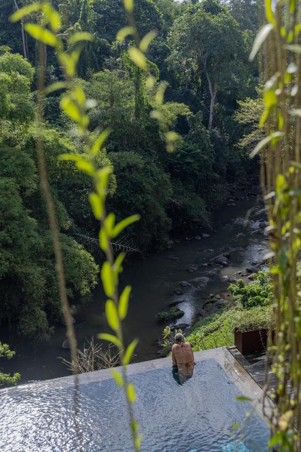A person sits at the edge of an infinity pool overlooking a lush green forest and a flowing river, with leafy vines hanging in the foreground—an idyllic scene found at the best family villas in Bali.