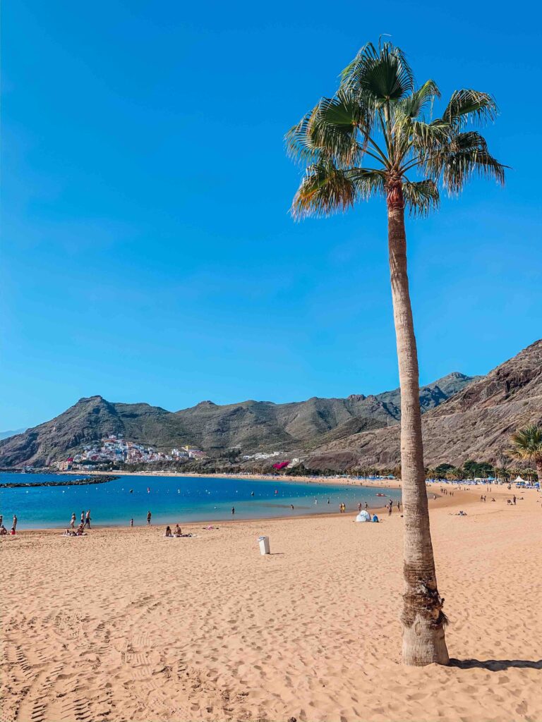 11 UNIQUE Boutique Hotels in Tenerife 52 A single tall palm tree stands on a sandy beach with people in the distance, calm blue water, and rocky mountains under a clear blue sky—an idyllic scene often enjoyed by guests at boutique hotels in Tenerife.