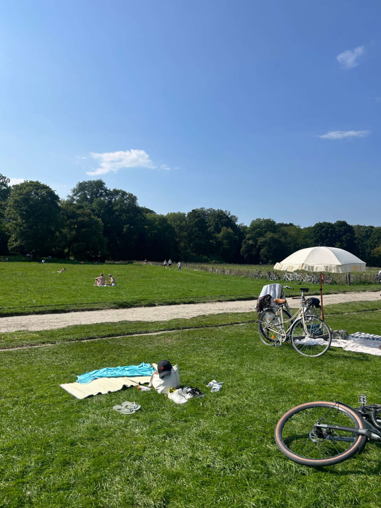 Authentic Boutique Hotels in Munich 2 People relax on a grassy field under a clear blue sky, reminiscent of afternoons enjoyed by guests at boutique hotels in Munich. Bicycles, towels, and an umbrella rest in the foreground while groups sit and walk beneath trees lining the open park.