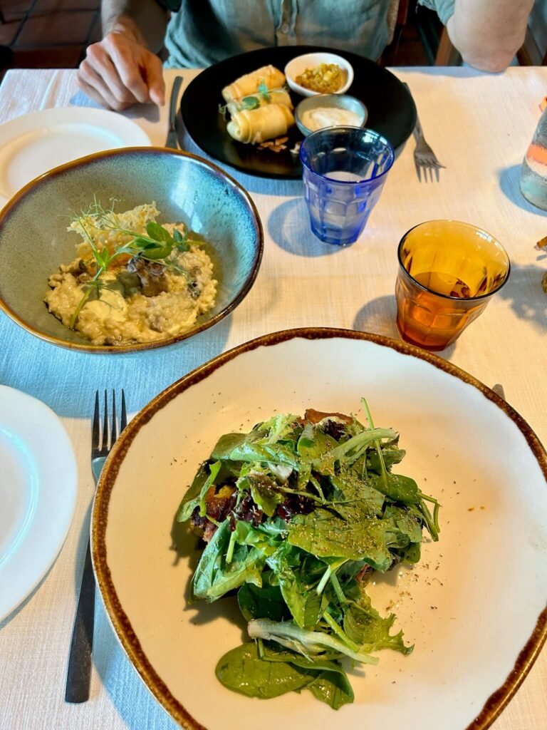 A table set for two at one of the Game Lodges in Western Cape features plates of green salad, creamy risotto, and spring rolls with dipping sauce. Glasses of water and an amber drink rest on the table as a person with rolled-up sleeves sits at the far side.