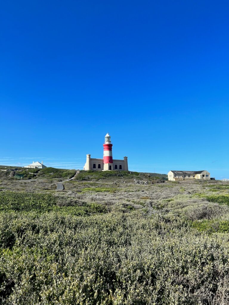 A red and white striped lighthouse stands on a hill surrounded by lush greenery under a clear blue sky, with two smaller buildings nearby—an iconic scene reminiscent of coastal Game Lodges in Western Cape.