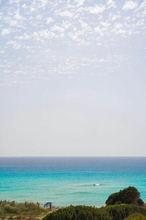 Clear, bright blue sea with gentle waves, a sandy beach, and greenery in the foreground. The sky is mostly clear with soft clouds—capturing the serene coastal charm that surrounds boutique hotels in Formentera.
