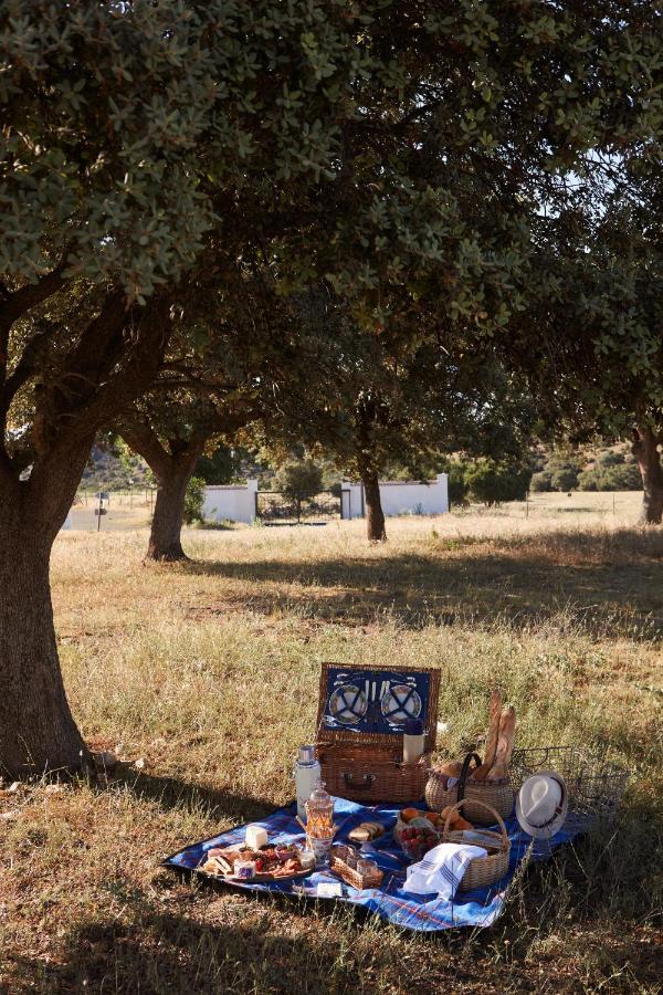 25 Weekend Trips from Madrid Max. 2h Away 36 A picnic setup on a blue blanket under a large tree in a sunny field, perfect for weekend trips from Madrid. A wicker basket, food, drinks, and a straw hat sit nearby, with white buildings visible among the trees and grass in the background.