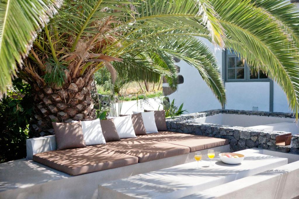 11 UNIQUE Boutique Hotels in Tenerife 18 A cozy outdoor lounge area, inspired by Boutique Hotels in Tenerife, features a cushioned seating bench under a large palm tree. A table in front holds two glasses of juice and a bowl of fruit, with white walls and a window in the background.