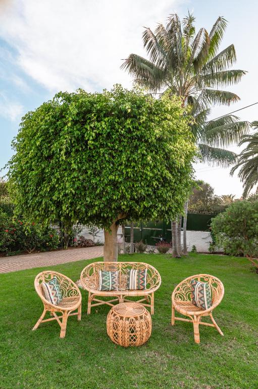 11 UNIQUE Boutique Hotels in Tenerife 41 A wicker outdoor seating set with two chairs, a loveseat, and a round table sits on a green lawn under a leafy tree—reminiscent of the lush gardens found at boutique hotels in Tenerife. Palm trees complete the tranquil backdrop.