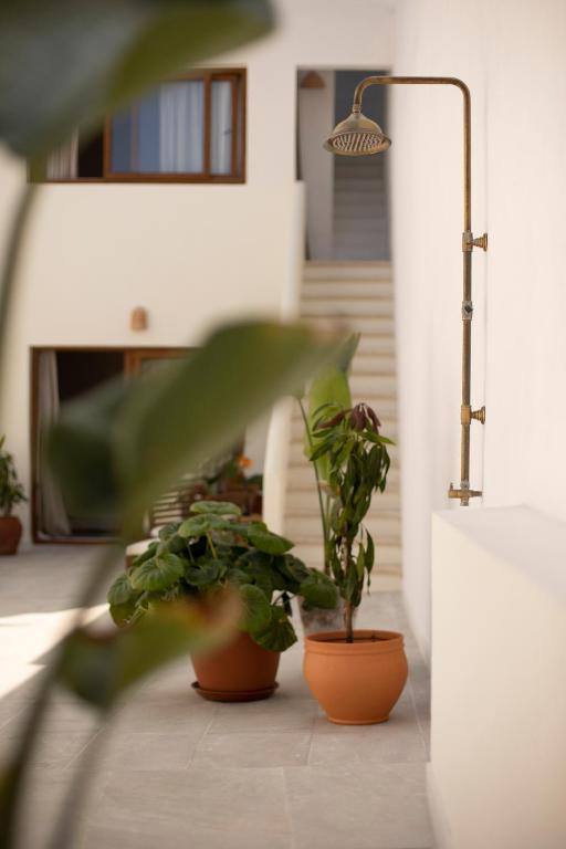 11 UNIQUE Boutique Hotels in Tenerife 16 An outdoor shower with a brass fixture is mounted on a white wall beside potted green plants, echoing the stylish details often found at boutique hotels in Tenerife, with stairs and windows visible in the background.