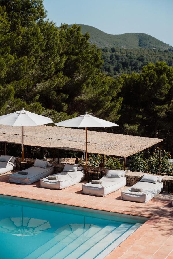 10 AUTHENTIC Finca Hotels in Ibiza 21 Poolside lounge chairs and umbrellas are arranged beside a clear blue swimming pool at one of the charming finca hotels in Ibiza, surrounded by lush green trees and hills under a sunny sky.