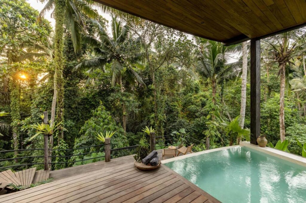 pool and view of jungle casa pohon ubud best villas in bali