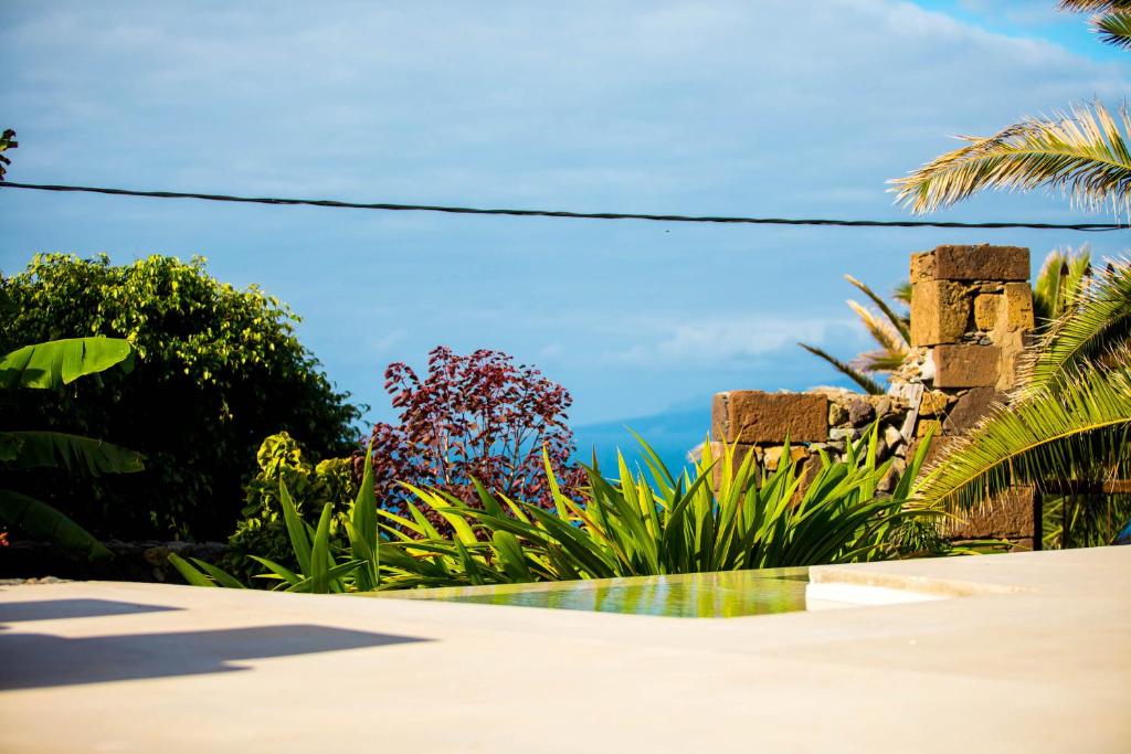 11 UNIQUE Boutique Hotels in Tenerife 17 A sunny outdoor scene at one of the boutique hotels in Tenerife, with lush green plants and palm trees near a stone wall, a still pool of water in the foreground, and a partly cloudy blue sky in the background.